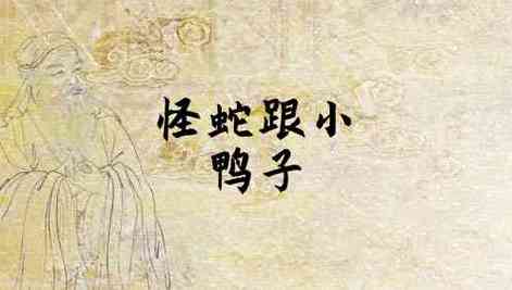 梦见鸭子吃蛇