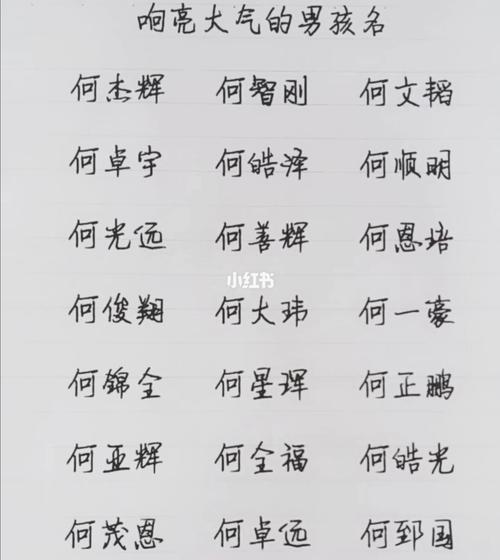 何姓男孩取名高雅的