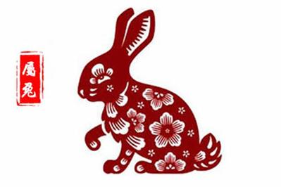 2021年生肖兔的吉祥颜色是什么