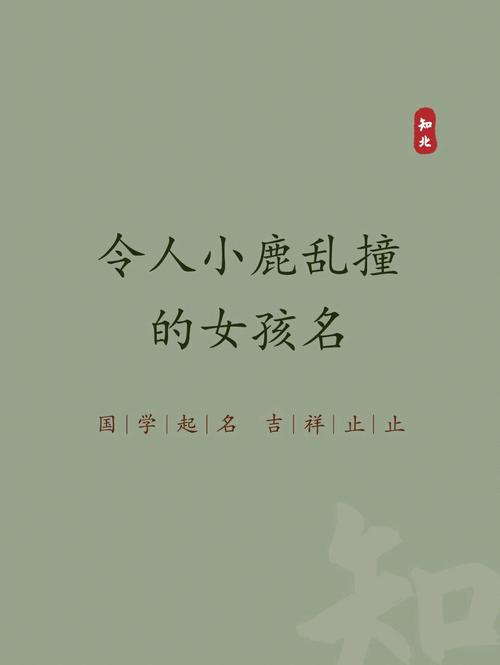 只需一眼就小鹿乱撞的女孩名字