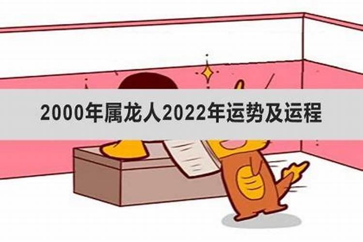 属龙的人2022年运势如何