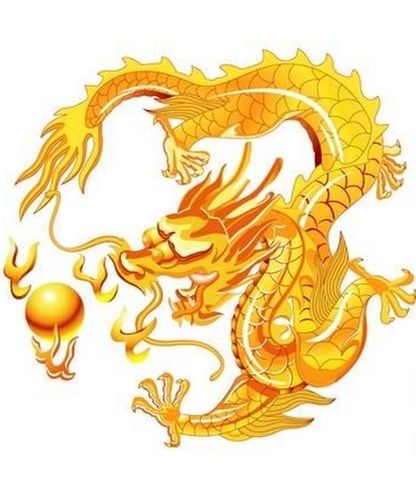 2012年属龙的男孩学业怎么样