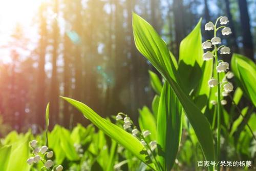 事业高升，喜事频现，日子会越来越好的3大星座