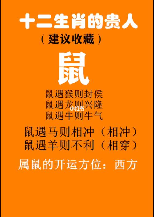 一起认识生肖鼠的贵人属相
