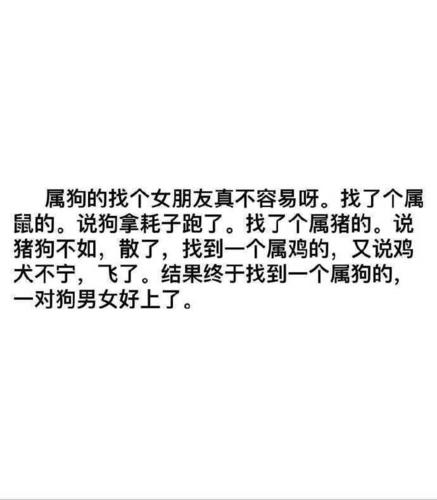 属狗讲什么笑话会让人尴尬不已