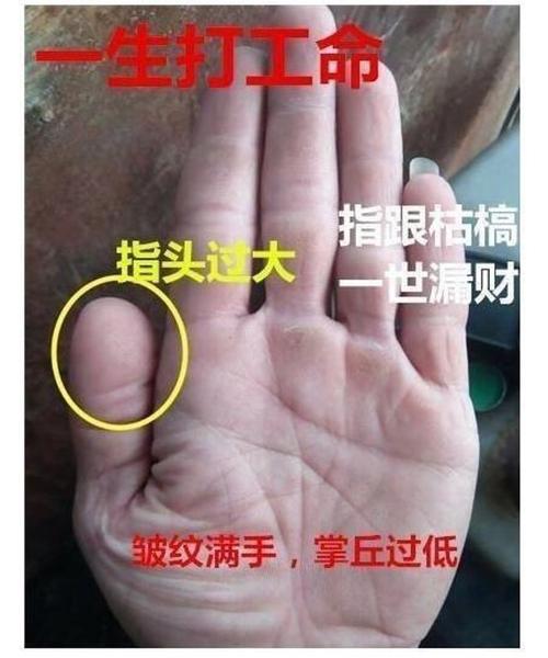 大拇指3节富贵命