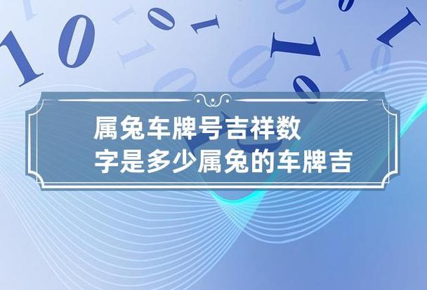 属兔应该用什么数字车牌