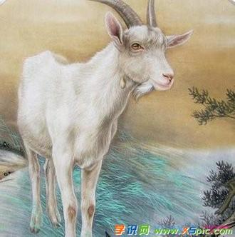 生肖羊命中最大的“坎”