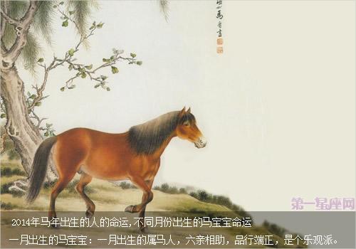 2014属马人的命运