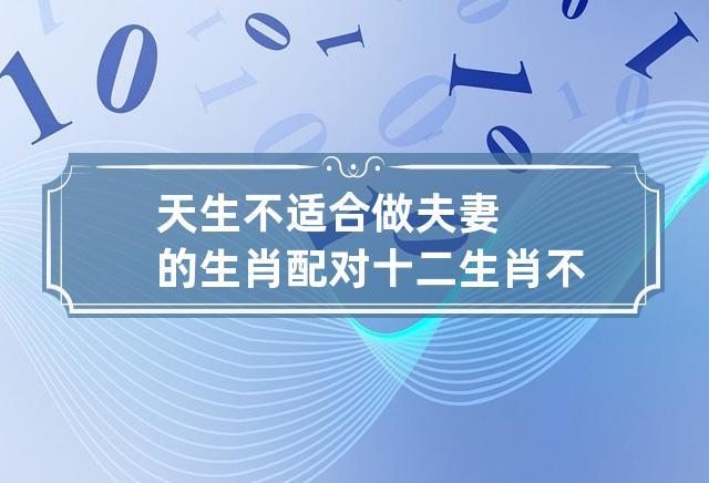 天生不适合做夫妻的生肖配对