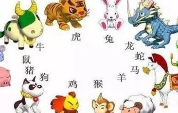 属猴的社交相处之道是什么