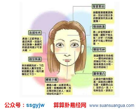 塌鼻子面相分析