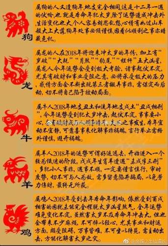 2018属牛犯太岁,要注意什么