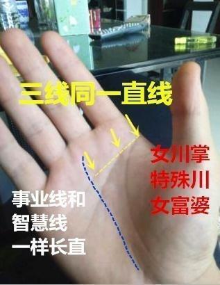 川字掌的女生真的需要晚婚吗