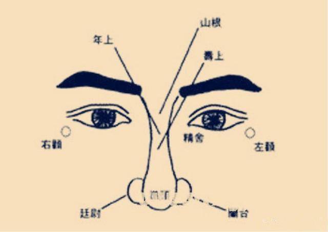 剑锋鼻子看相图解