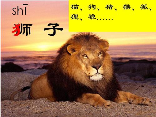 梦见狼和狗狮子是什么意思