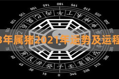 1983年属猪的人2020年运势运程解析