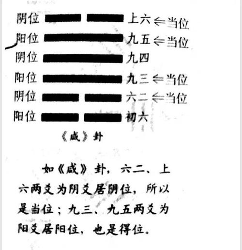 六爻术语:什么是卦爻?
