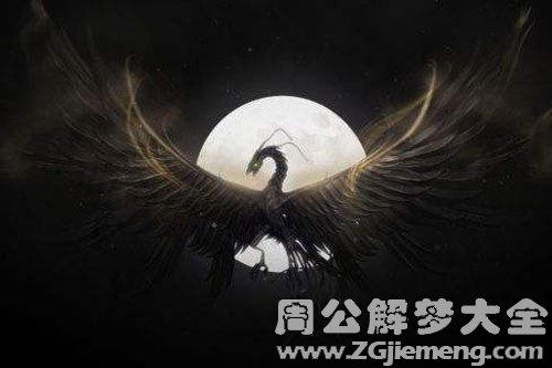 梦见黑色凤凰