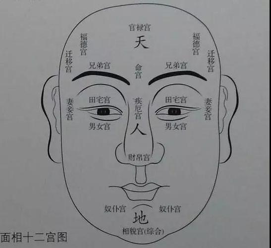 面部青筋的面相解读