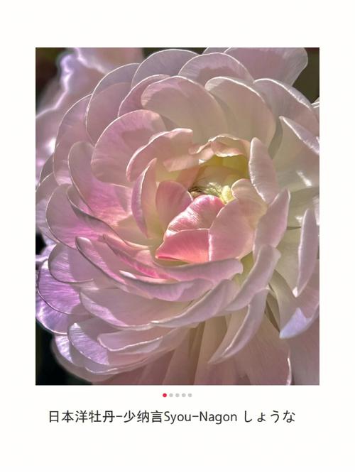 女人梦见白线是什么预兆