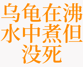 梦见煮乌龟