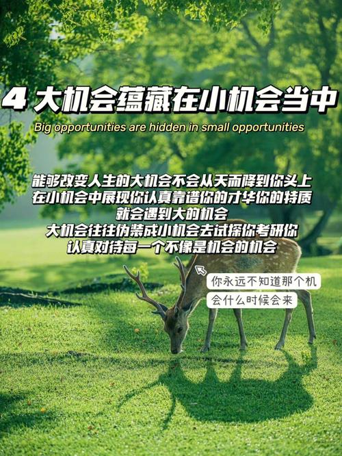 职场上你懂得把握机会吗