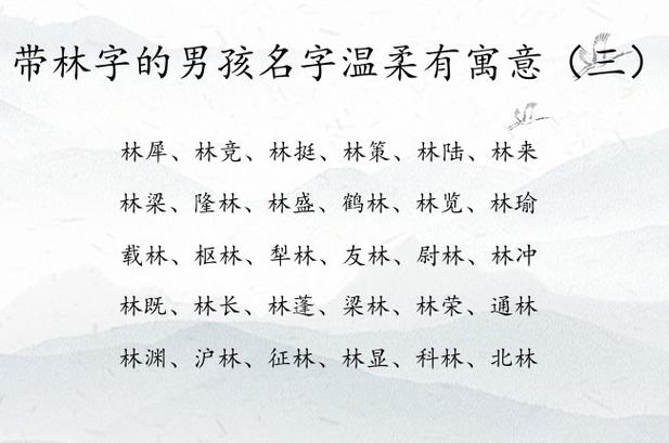 林用在名字里的寓意
