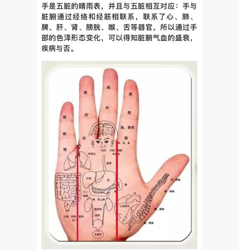 简单方法看手知健康