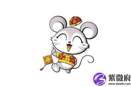 属鼠染什么颜色头发1972年出生适合的颜色