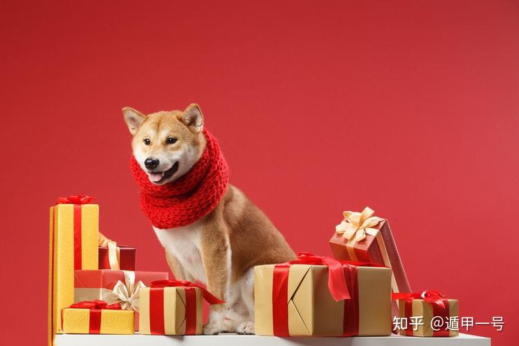 2021狗年运程1994年下半年运势
