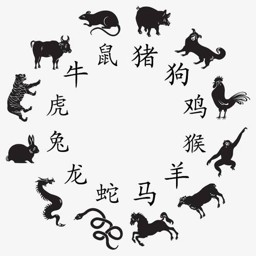 属鼠选择伴郎上是否苛刻