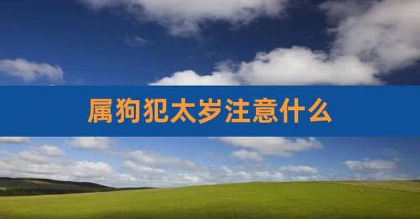 2021年属狗犯不犯太岁