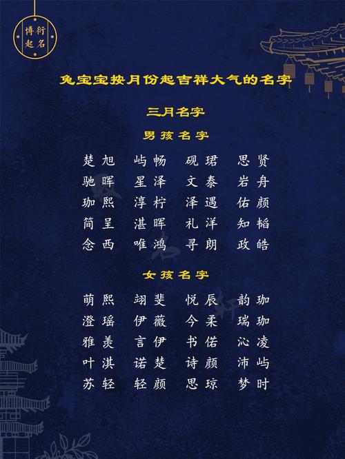 兔年周姓女孩大气响亮的名字