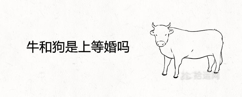 牛和狗是上等婚