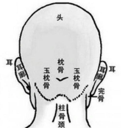 骨相学:揭秘真正的反骨在哪里?