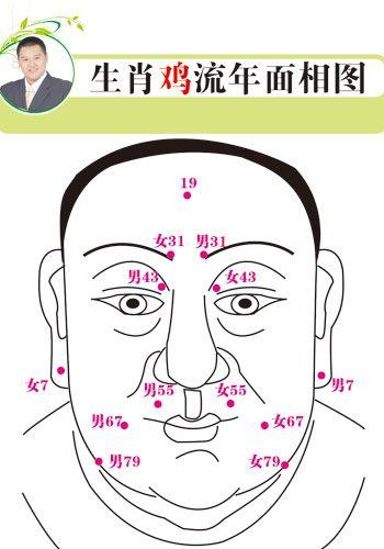 生肖与面相 面相命理学
