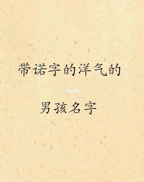 带有诺字的男孩名字