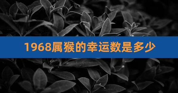 1968年属猴人的幸运数字、幸运色是什么
