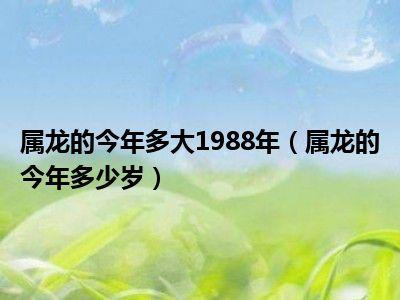 1988年属龙何时走大运