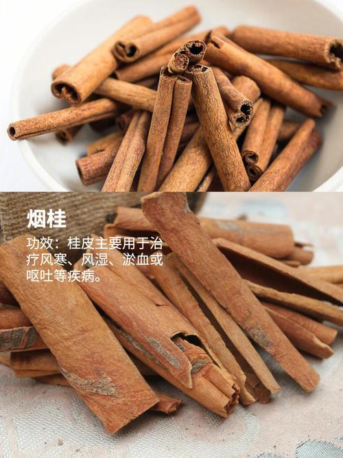 桂花树的风水禁忌有哪些?一文诠释清楚明白