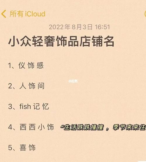 新颖的小饰品店铺名字大全