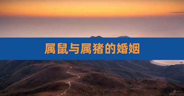 女鼠男猪的婚姻合适吗?属猪男人会给爱人什么样的幸福?