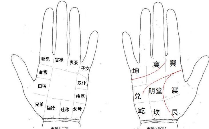 男左手相学图解算命大全