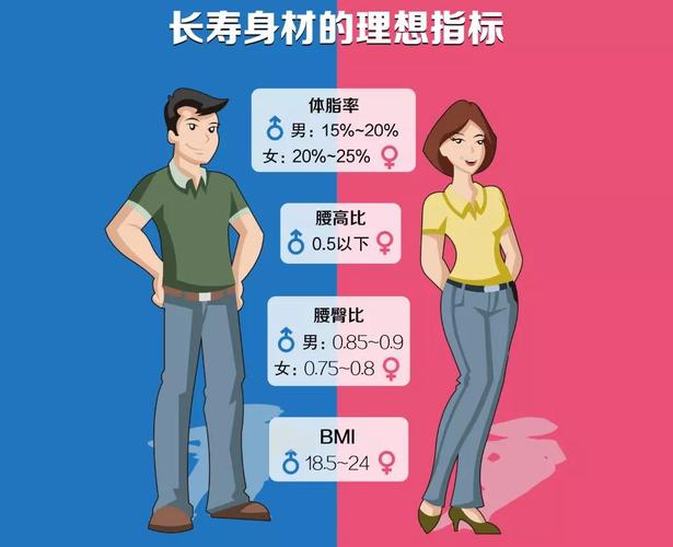 身材比例跟寿命也有关吗