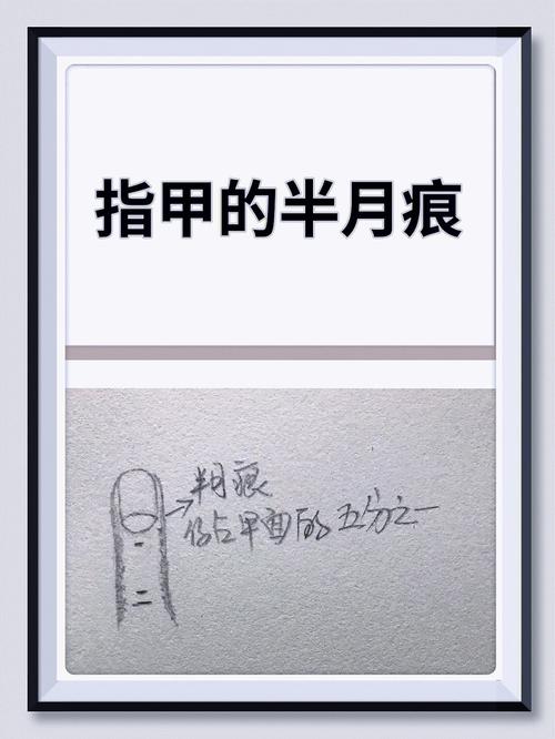 指甲算命:半月痕看你身体健康