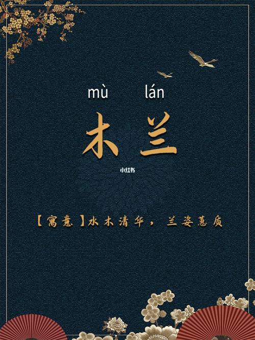 姓宛好听的名字