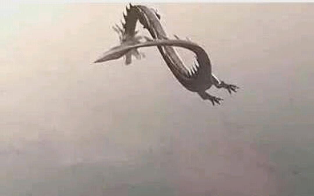 天上掉下龙