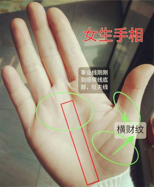 事业较成功的女人手相,智慧线平直的女人易成功