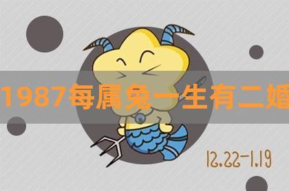 87年属兔的命为什么不好